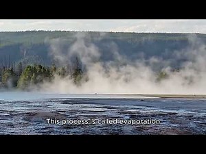 Understanding the Water Cycle: How Water Moves on Earth 🌍💧