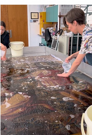 Conservation of 17th Century Mortlake Tapestry