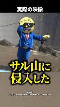 [Uproar] A Man in a Mascot Suit Broke into Punch-kun’s Monkey Mountain!? The Full Story Behind th...