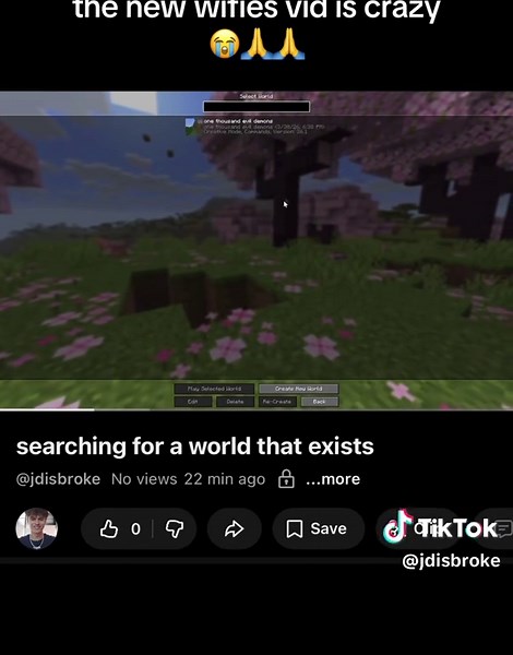 #CapCut #wifies clip that came from his new video I think #minecraftarg #arg #shitpost