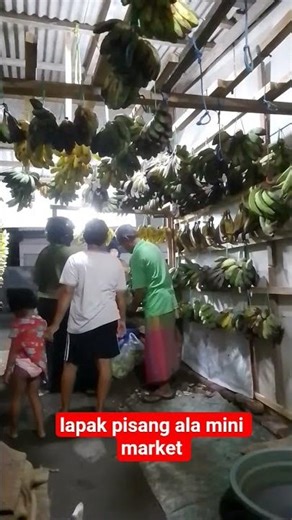 #various#types#of#bananas