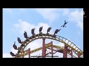 Compilation of theme park ride malfunctions and accidents