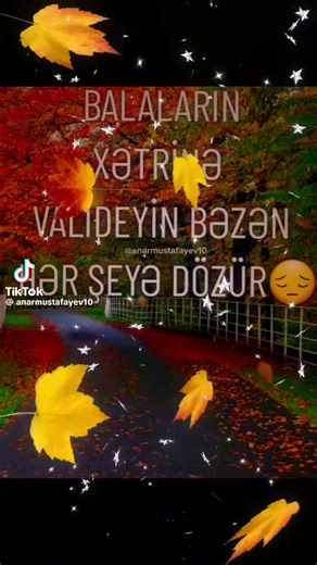 🫸Biz_mehriban_ailəyik🫷 (@__user__name__1234)’s videos with original sound - 🫸Biz_mehriban_ailəyik🫷