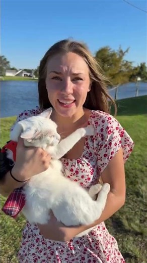 Cat vs Sundress I Asked Beforehand 🤷🏼‍♀️