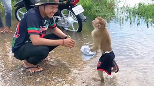 Prince Jason Polite Thank To Friendly Friend Pick Up Shirt After Run With Dog | Monkey Jason