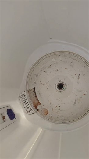 अहिल्यानगरचा AC वाला | Home Services on Instagram: "#24day Ahilyanagar washing machine repair Bhingar washing machine service Home service Ahilyanagar Local technician Maharashtra repair service #washingmachinerepair #washingmachineproblem #repairreels #servicereels #technicianlife #acwalareels #appliancerepair #homerepair #reelsindia #marathireels #ahilyanagar #localbusiness #reelsviral #callservice #beforeafter❤️"
