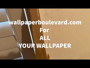How to Skimcoat Walls before Wallpaper: Master Class for Beginners - Spencer Colgan