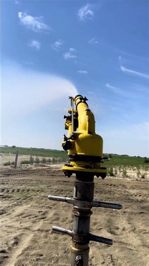 Efficient Sprinkler Irrigation System for Modern Agricultural #sprinkler #irrigation #agri #shorts