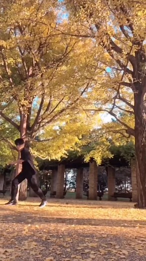 #best_tricking #tricks 🌟🍂 #trickster #combos #viral #tricking #foryou #fypシ #fürdich #fliper #flips #tricker #trickingboy #fyp #kick #trickinglife