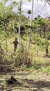 😂😂Kena prank pikat kutilang | Yuci Uzu