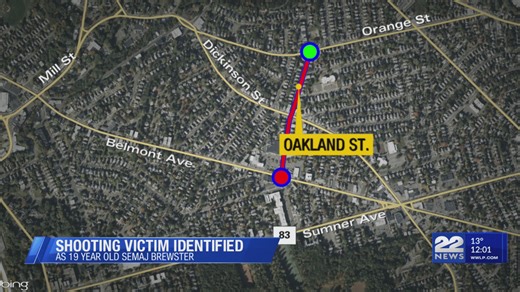 Springfield teen denied bail in deadly shooting of 19-year-old