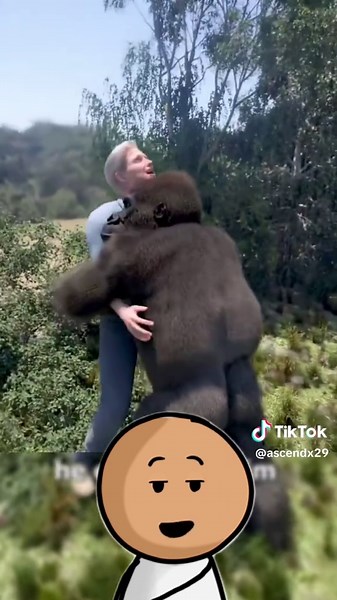 Exploring Gorilla Care and Habitat in the Wild