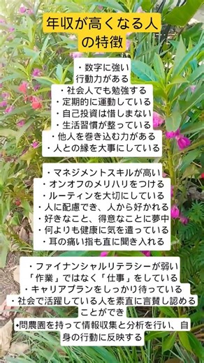 年収が高い人の共通点20選 #生き方 #人生 #モチベーション #言葉 #年収 #shorts #お金 #人間関係 #仕事 #自己啓発#viralshorts