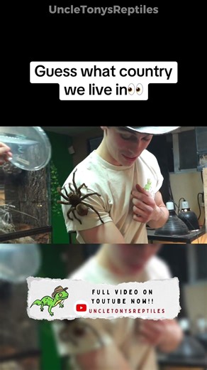 Guess What Country We Live In… 😳🕷️