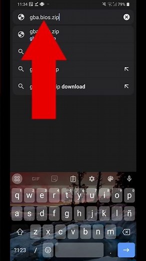Como agregar "BIOS" a el emulador de My boy