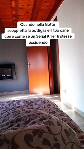 Empowering Rottweiler: Personal Protection Dog Training Tips