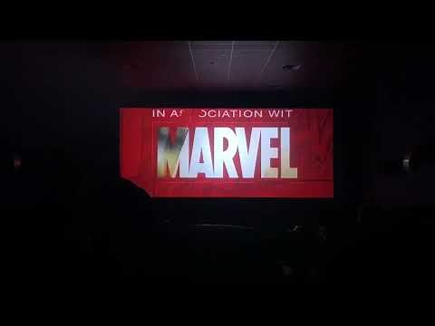 Sony/Columbia Pictures/Marvel/Sony Pictures Animation/Pascal Pictures/Lord Miller (2023)