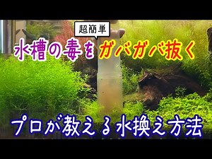 水槽の水換えが超簡単にできる！プロShopの時短テク＆便利グッズ【アクアリウム】~in地球38