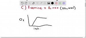 SOLVED:Select the TRUE statement below: a. Characteristics of type IIA skeletal muscle fibers are generally "intermediate" between those of type I and type IIB fibers. b. Game bird pectoral muscles are highly aerobic. c. Type IIB skeletal muscle fibers contain low levels of hexokinase because they seldom degrade glycogen. d. It generally takes longer to obtain ATP from anaerobic metabolism than it does from aerobic metabolism. e. Ketone bodies cannot be oxidized by myocardial cells.
