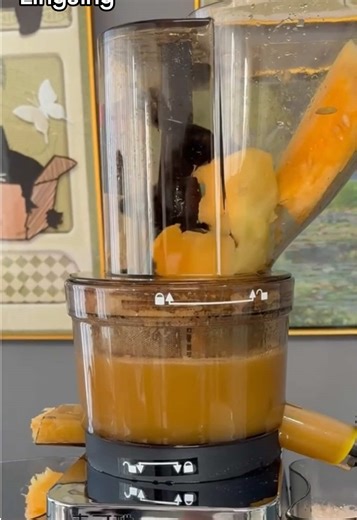 Efficient Fresh Juice with a Commercial Juicer