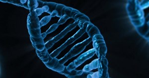 Gene Editing Shifts Food Possibilities Forward (VIDEO)