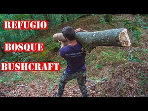 Haciendo Una Cabaña De Madera En El Bosque