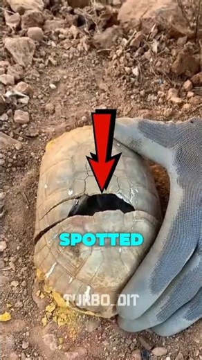 He Broke Open A Turtle Shell… And Found This 😳