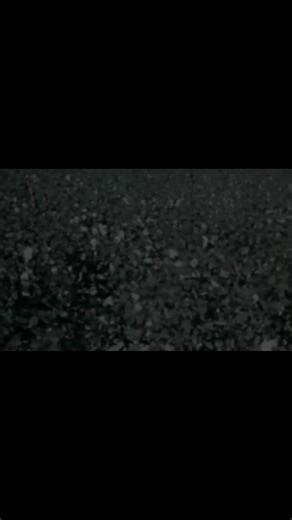 La historia de Blind Willie McTell en 12 cuerdas