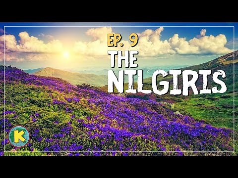 The Nilgiris - the beautiful hills of South India // Ep 9