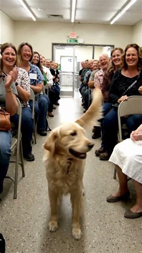 Watch This Puppy Choose His Forever Family Out of the Crowd! 🥺#PuppyAdoption