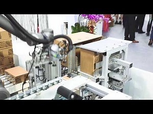 Techman Robot Automatic Packing and Boxing
