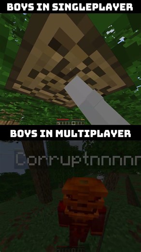 Minecraft Singleplayer vs Multiplayer 💀😂