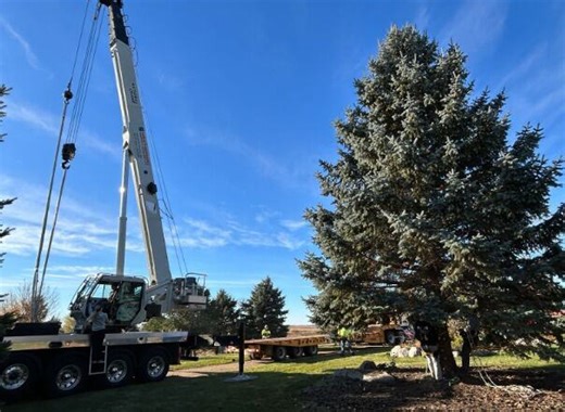 South Dakota Christmas tree on its way to the state Capitol