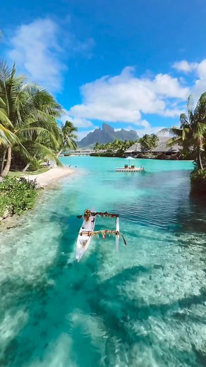 15 reactions | The Beauty of Nature on the Island of Bora Bora, French Polynesia. #frenchpolynesia #frenchpolynesianislands #boraboraisland #island #nature #naturephotography Nature at its Best | Nature at its Best | Facebook