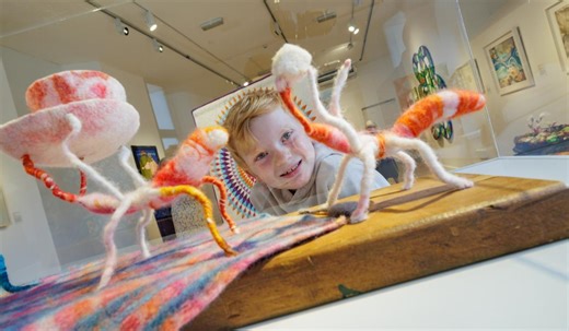Pictures: Contemporary textile exhibition opens at Kilkenny's Design and Craft Gallery