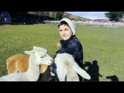 Princess Chelsea - Everything Is Going To Be Alright