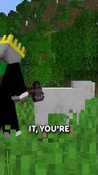 Mojang Added Their OWN ENTITIY CULLING Into The Game...