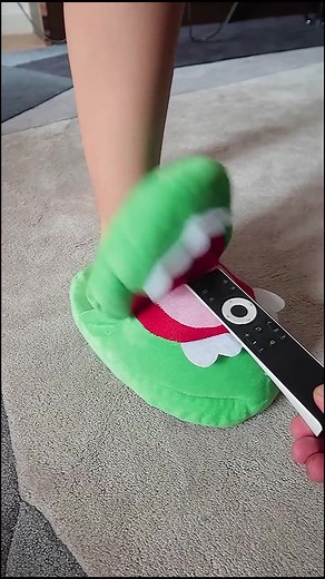 That’s funny #goodthing #goodthings #slippers