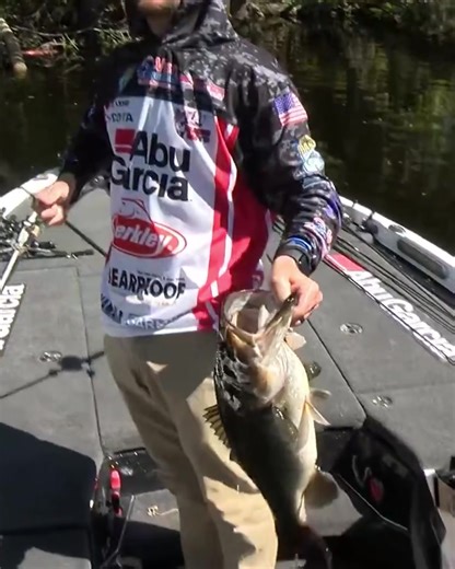 NOW THAT WILL GET YOUR BLOOD PUMPING. 🤯 The baby shark, Shane Lehew wrangled in a freshwater shark on Championship Sunday of the @FXRProFish Bassmaster Elite at the St. Johns River! Who’s watching #BassLIVE on Bassmaster.com? #bassmaster #bass #basselite #bassfishing #basslive #biggun