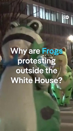 Activists Stage 'State of the Swamp' Protest Near White House