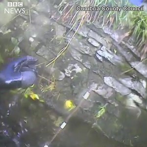2.6K views | Have you ever wondered what happens when bridges get closed for inspection and repairs? Well here is some footage of the dive inspection of Ford Bridge in Burneside. The dive team found such extensive damage that Cumbria County Council is deciding whether it can be repaired, before the whole bridge is replaced next summer. | BBC Cumbria | Facebook