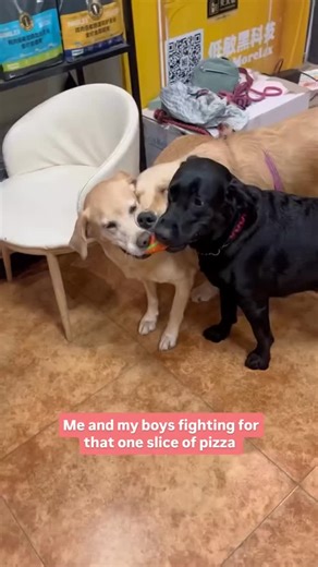 22K views · 346 reactions | FilterCopy on Reels | Facebook