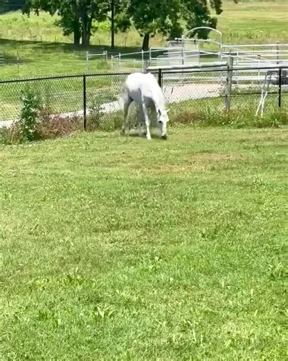 102K views · 5.8K reactions | ⛄️ Who remembers Olaf? He is an aged...