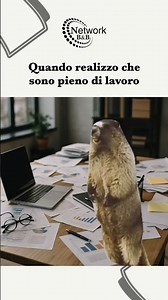 Hai un B&B? 🏡Entra a far parte di networkweb.com #bedandbreakfast #perte #viral