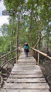 4K views · 160 reactions | Welcome to the Green Pearl of Kalibo!  | Bakhawan Nature Study & Eco Park - Kalibo, Aklan | #ecotourism #SaveMangroves #kaliboaklan #VibrantKalibo #KaliboTourism #reelsfypシ #fypシ゚viral #fypシ #fypシ #reelsfbシ #mangroves #aklanongmanggugubat | Aklanong Manggugubat | Facebook