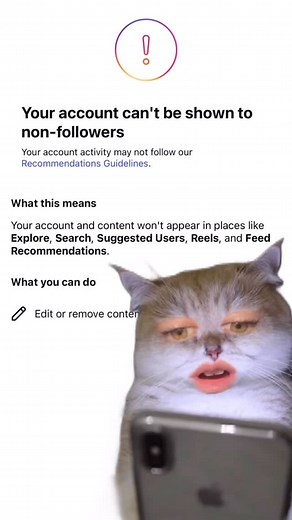 You'd think meta would learn that we are petty AF. | Cats on a Couch