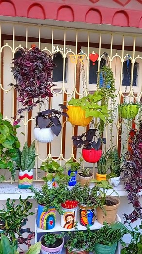 90K views · 1.1K reactions | Outdoor garden setup  . . . . . . . #window #hangingplants #diy #gardendecor #decorwithplants #outdoorgarden #outdoor #colourfulgarden #gardening #plantlover #indianplantgang #homedecor #home #creepers #foliage #vegetablegarden #foryou #instadaily #houseplants #urbanjungle #gardenup #green #nature #crazyplantlady | Pro_planting | Facebook