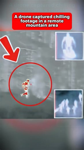 49K views · 172 reactions |  Unbelievable Scenes Caught by Drone in Isolated Mountain Area! | Os Zinocentes | Facebook