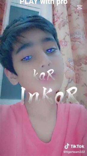 probability distribution