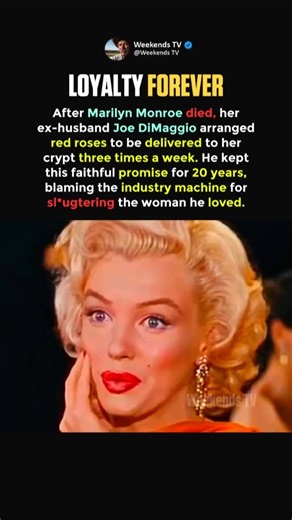 He Sent Roses to Marilyn's Grave 3x a Week for 20 Years #shorts